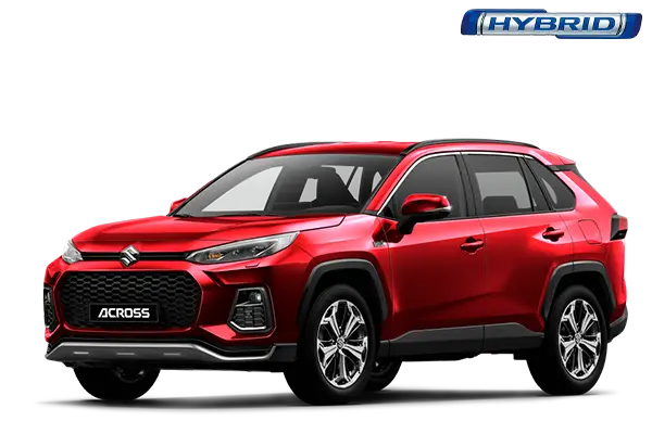 Suzuki Offer