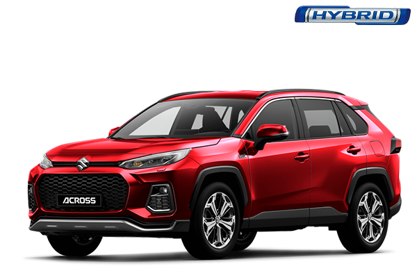 Suzuki Offer